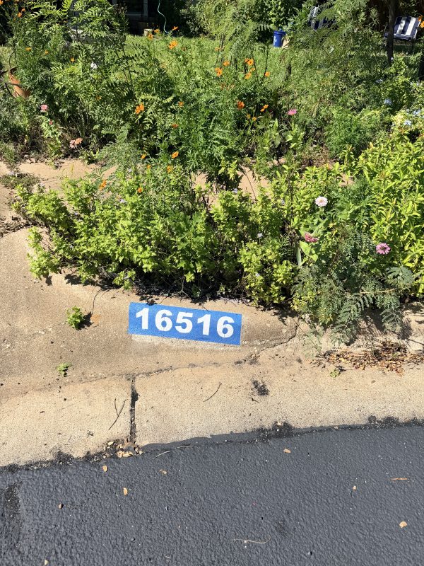 Freshly painted curb address marker in Leander, TX